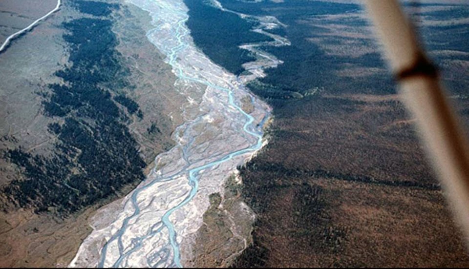 aerial view of a river with sparse forests on either side