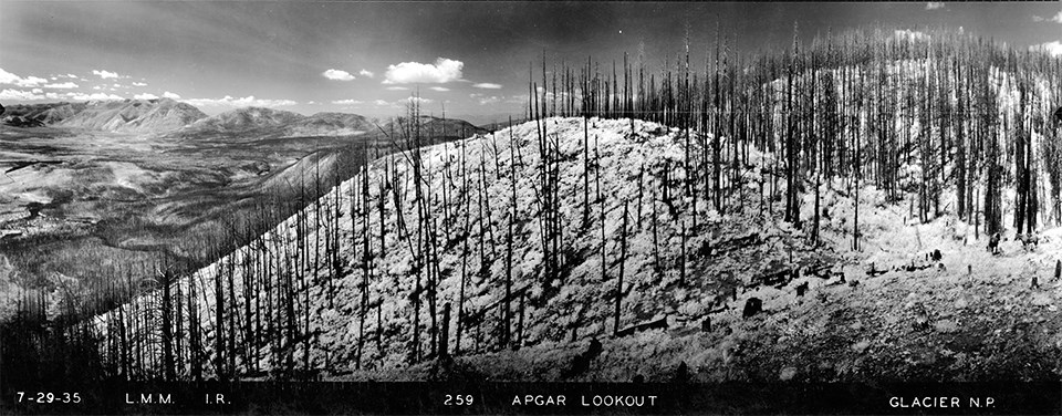 Apgar Lookout, Glacier National Park 1937