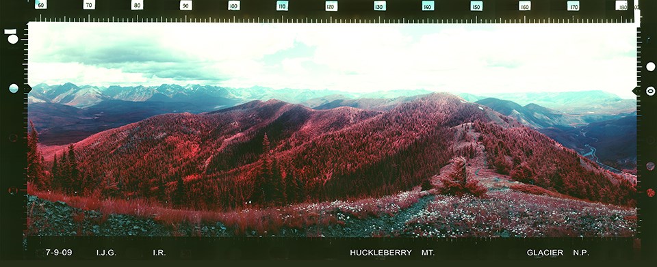 Huckleberry Lookout, Glacier National Park 1935
