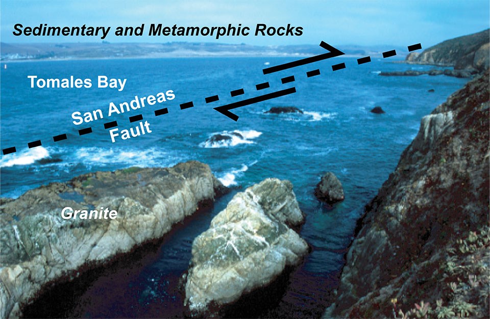 Tomales Bay is the surface expression of the San Andreas Fault.