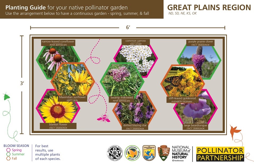 Great Plains Region Pollinator Card (front)