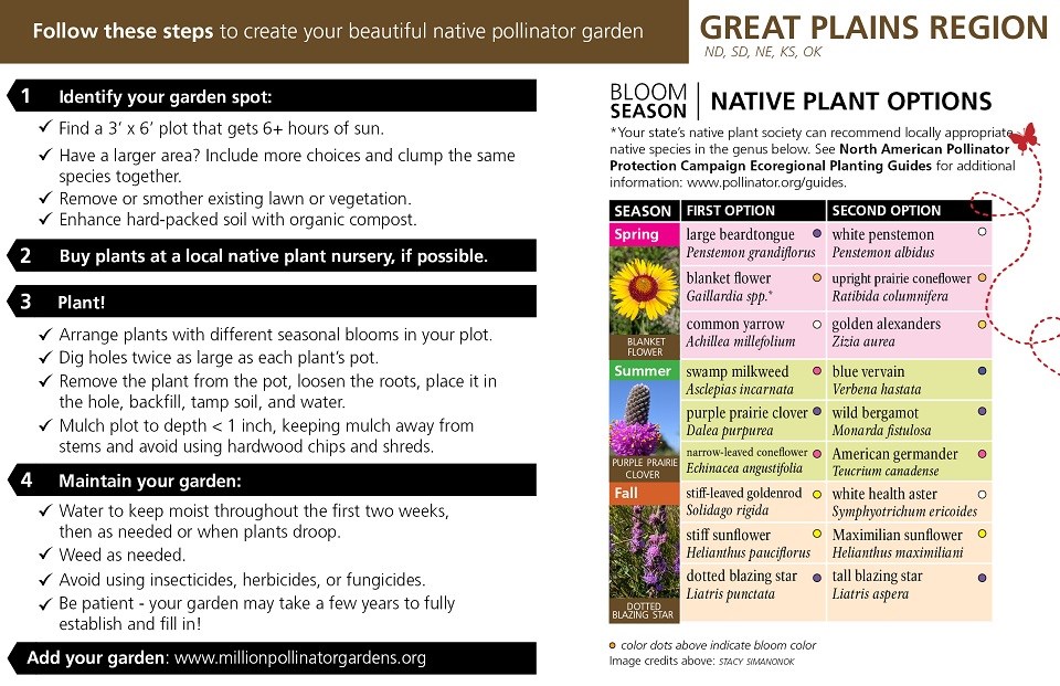 Great Plains Region Pollinator Card (front)
