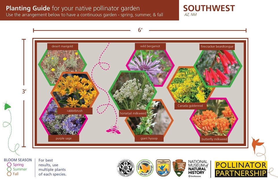 Southwest Region Pollinator Card (front)
