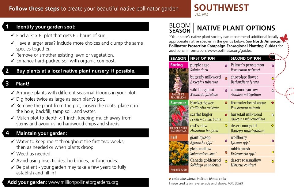 Southwest Region Pollinator Card (front)