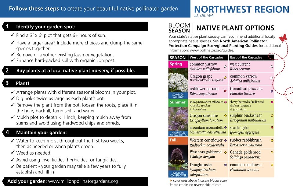 Northwest Region Pollinator Card (front)