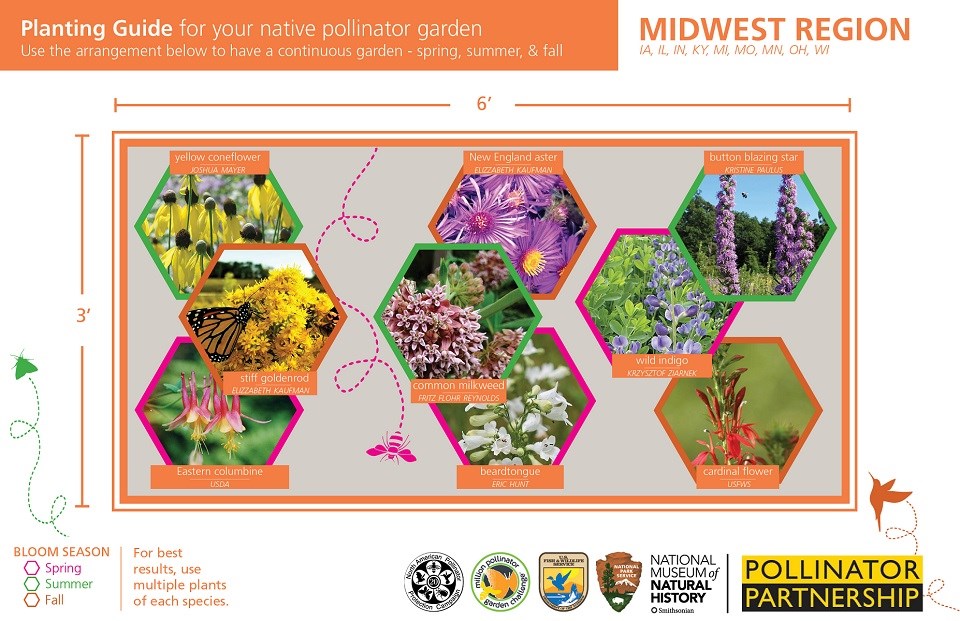 Midwest Region Pollinator Card (front)