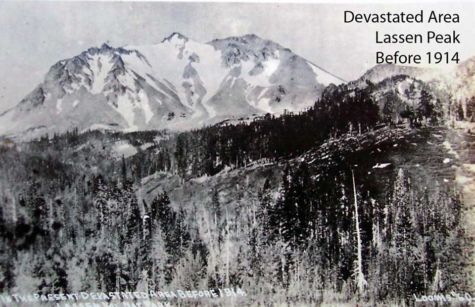 old photograph of a snowy peak with forest in the foreground