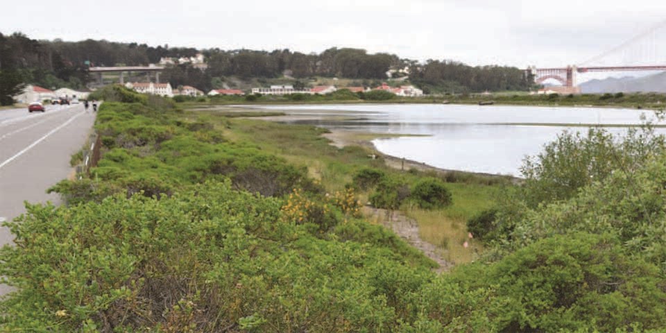 Image of crissy field before restoration: train tracks and empty land with little to no vegetation.