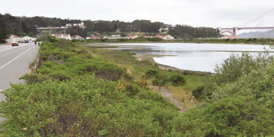 Image of crissy field before restoration: train tracks and empty land with little to no vegetation.