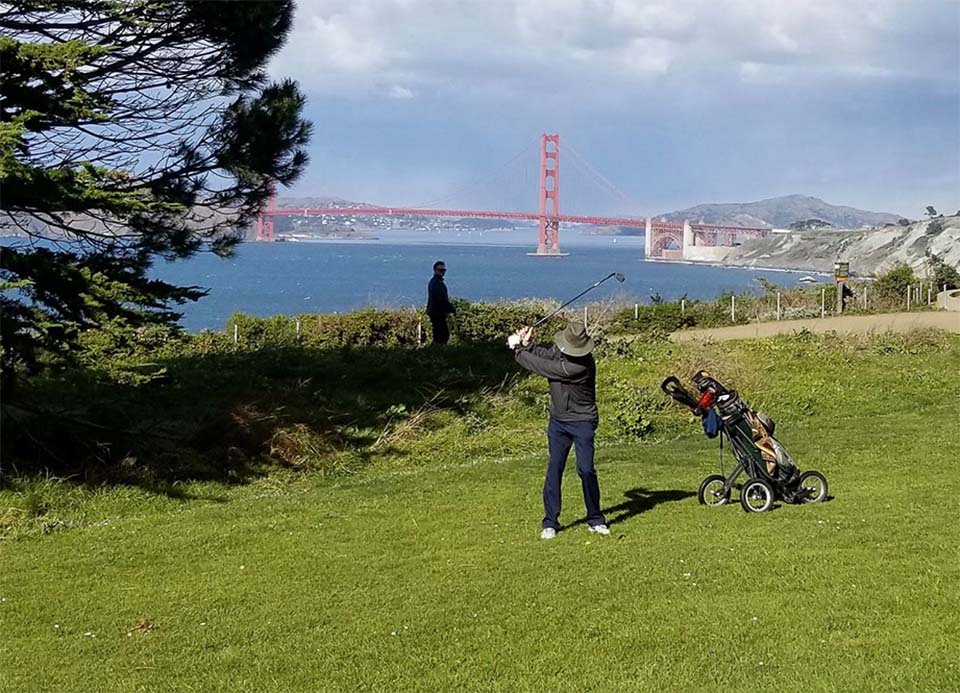 A train passing along the coast