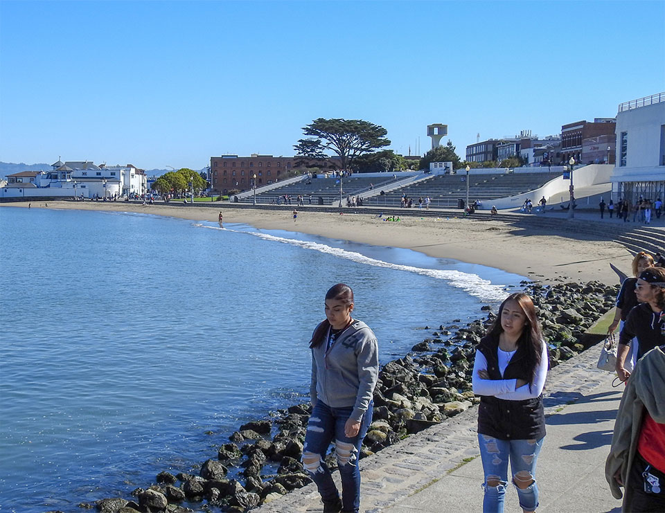 Historic photo of horses in Black Point Cove c1880s
