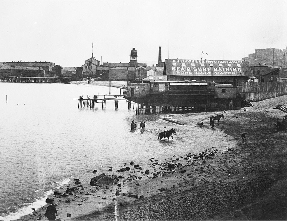 Historic photo of horses in Black Point Cove c1880s