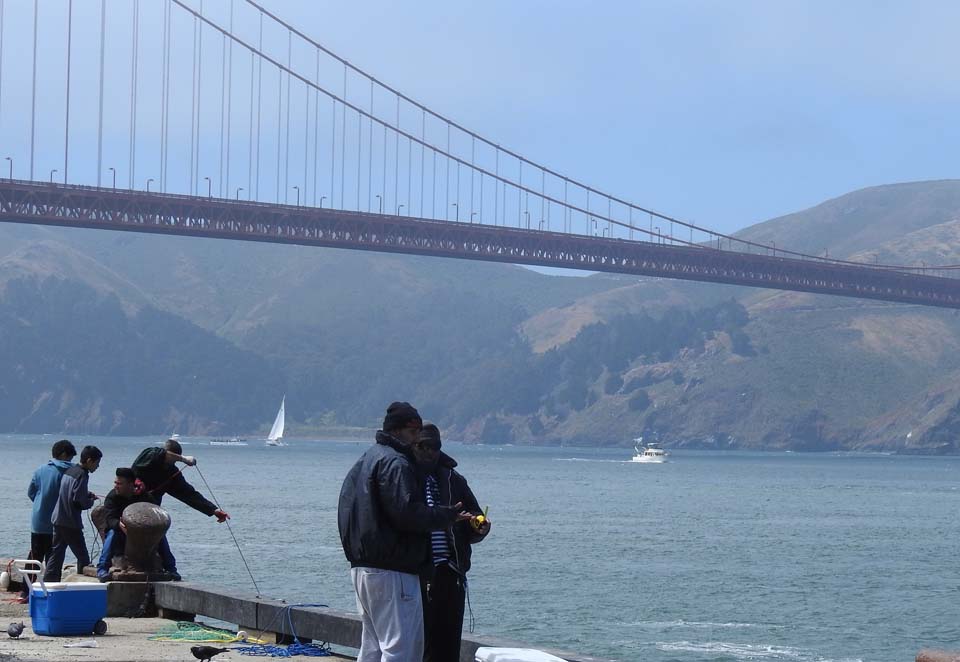 people fishing in the bay