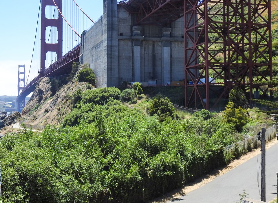 construction of the golden gate bridge