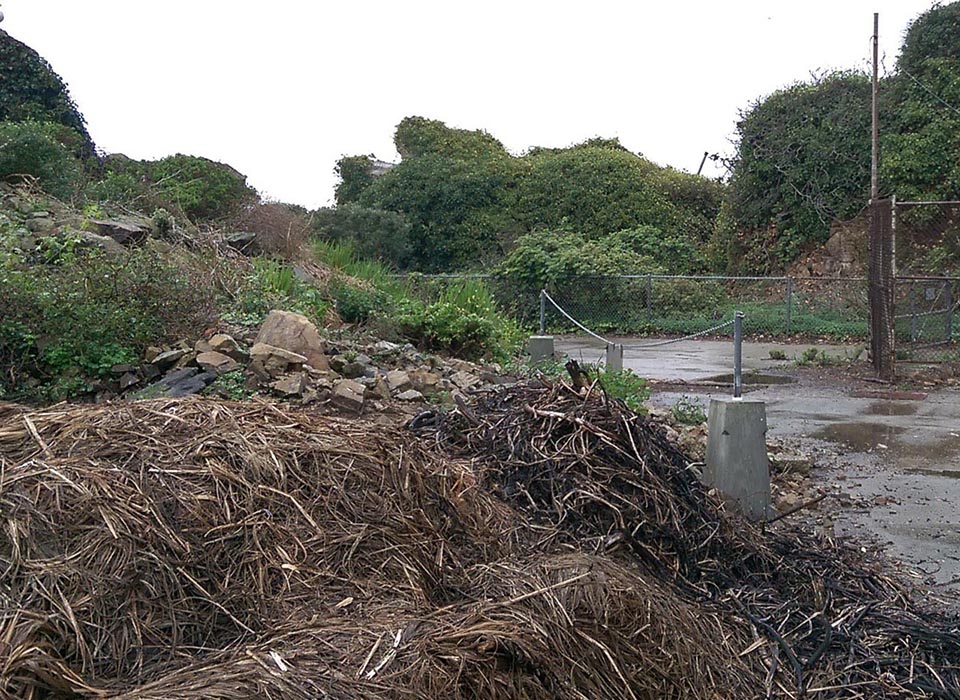 path overgrown with grass and dirt