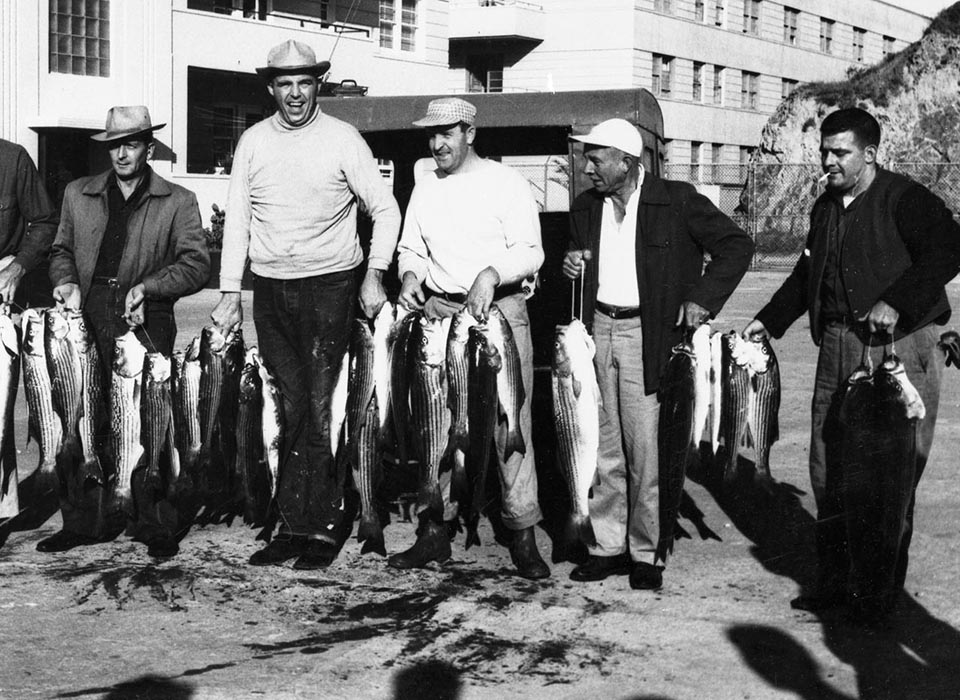 path overgrown with grass and dirt