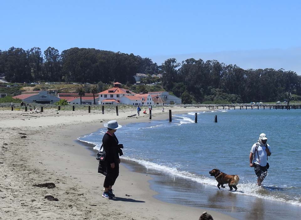 people on a sunny beach