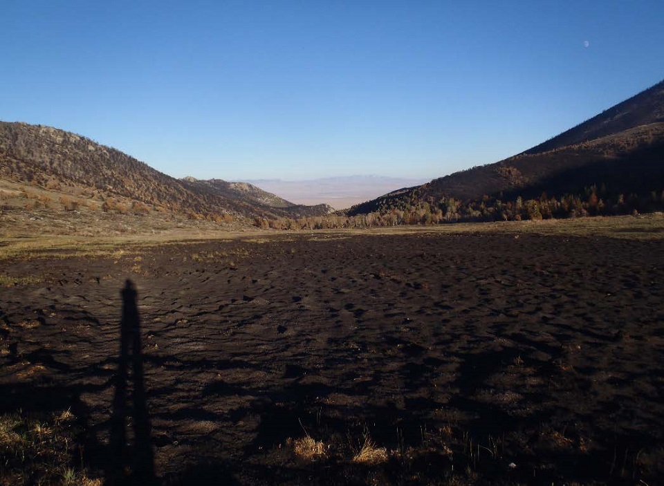 Charred black and brown landscape under a blue sky