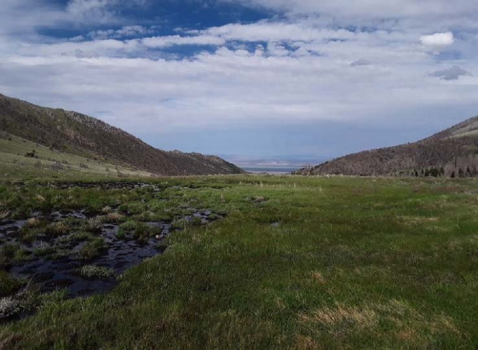 Charred black and brown landscape under a blue sky