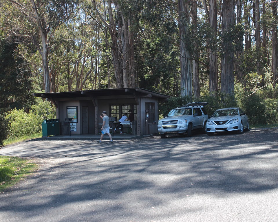 Hosmer Grove Campground Shelter (1962)