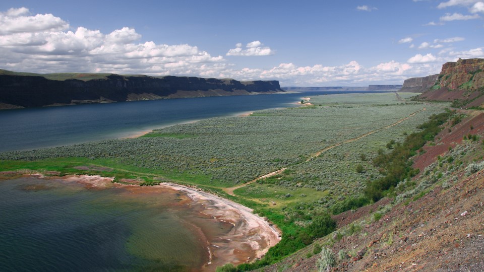 Icebergs the size of buildings float in muddy water past a person