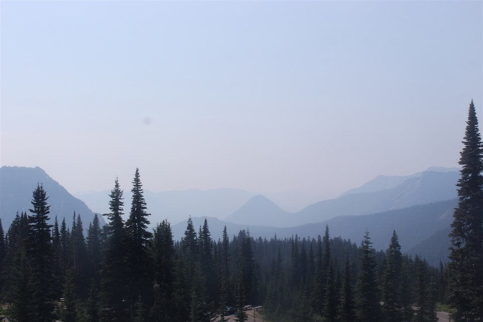 Webcam still showing a series of forested mountain peaks with a clear blue sky.