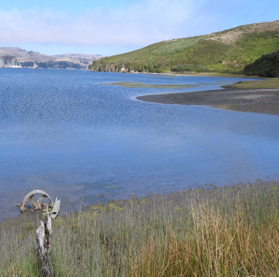 A black and white photo of thirteen people in a rowboat adjacent to a dock on the left. Low headlands rise above the far end of the bay.