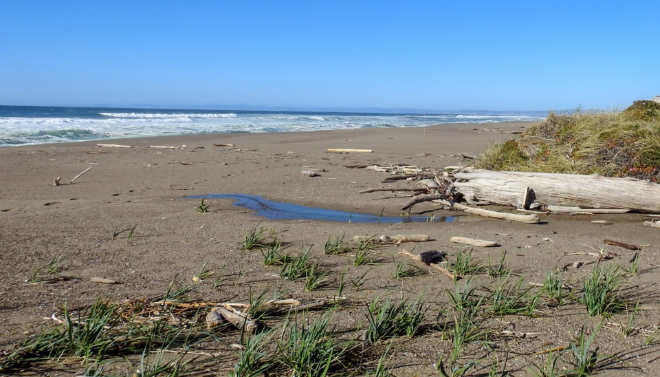 A black and white photo of two men in white uniforms maneuvering an approximately 25-foot-long open-top surfboat on a wheeled cart.