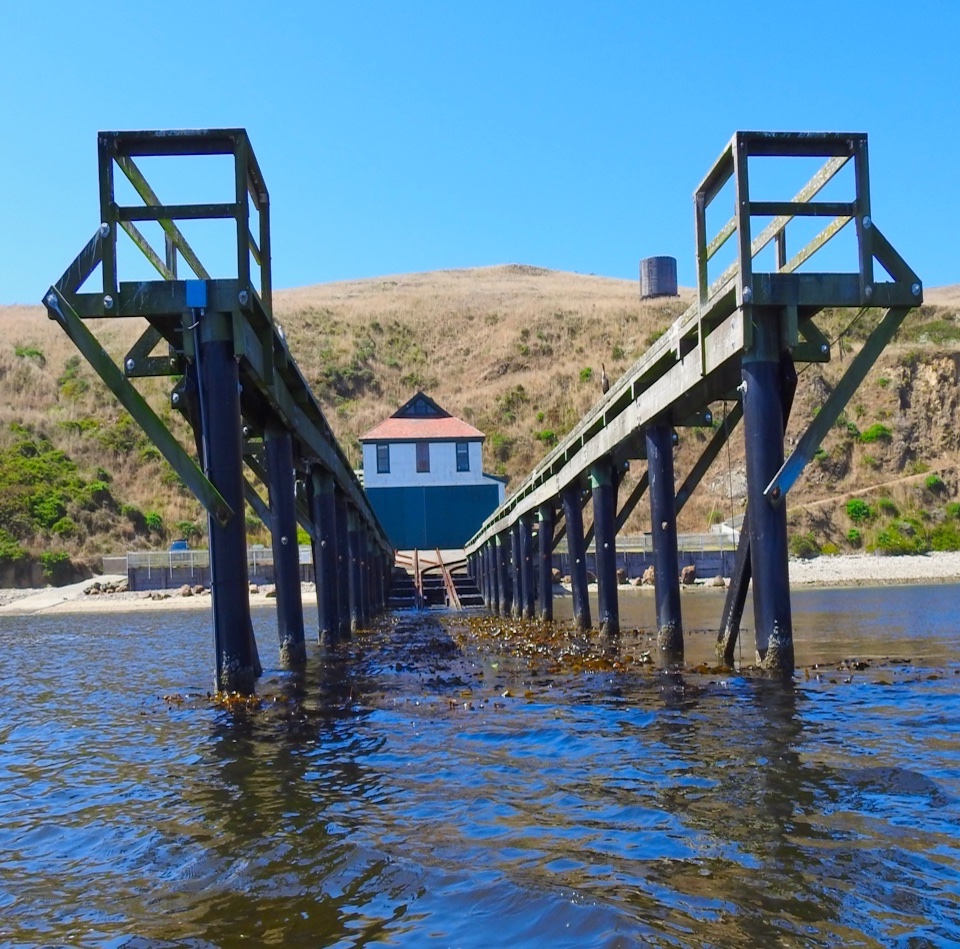 A black and white photo of a man on the left at the helm of a boat as it is guided up a ramp to a boathouse.