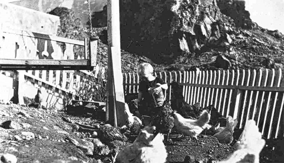 A black and white photo of a young boy feeding chickens adjacent to a picket fence with rock outcrops in the background.