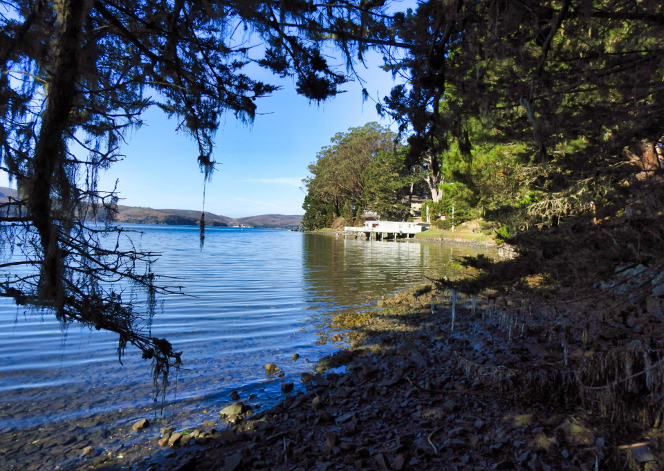 A black and white photo of a steam locomotive pulling four cars on railroad tracks that wind along a bay on the left.