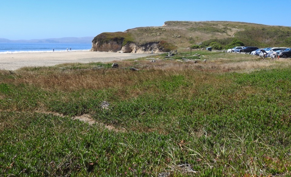 A black and white photo of cars in a parking lot, a beach, and hills, with a bay on the left..