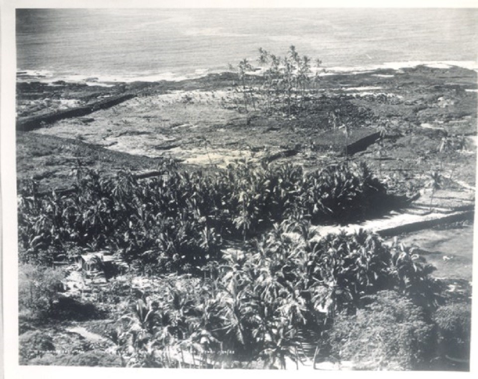 Historic photograph of the Royal Grounds with dense coconut tree grove and almost bare Puʻuhonua