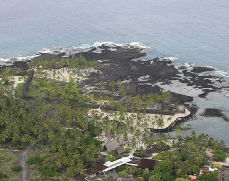 Historic photograph of the Royal Grounds with dense coconut tree grove and almost bare Puʻuhonua