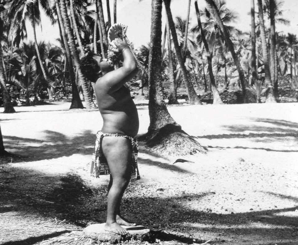 A man in traditional dress blowing pū (conch shell trumpet) on the beach with coconut trees