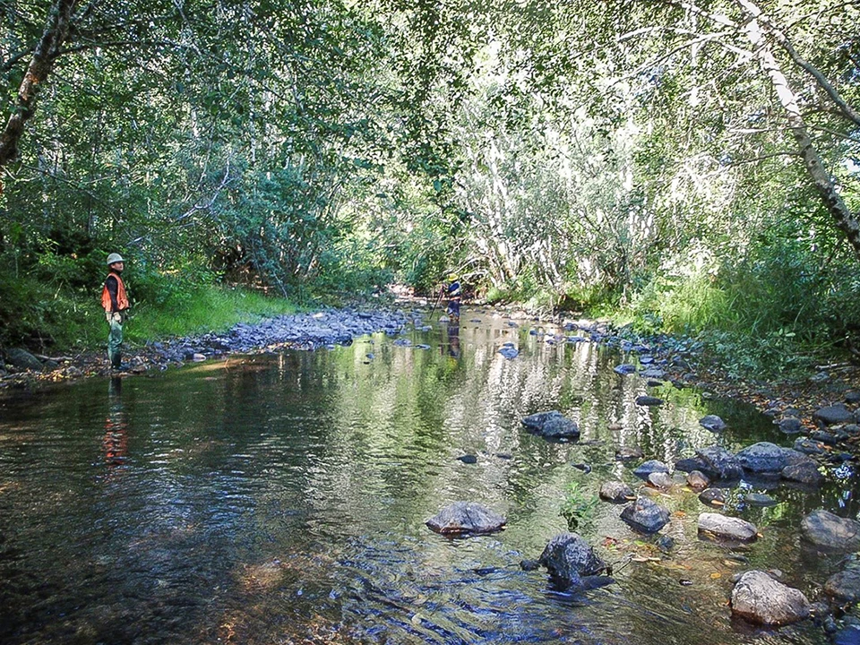A free flowing creek with little obstruction
