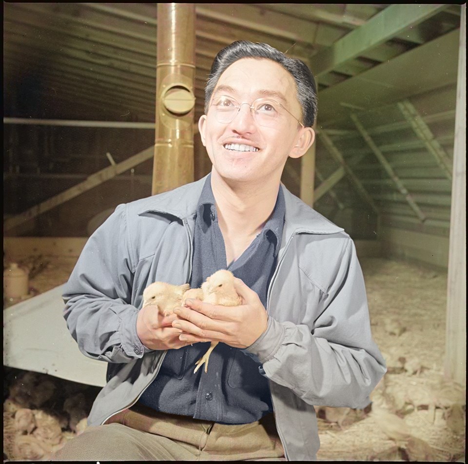 Tule Lake Relocation Center, Newell, California. Harry Makino, general manager of the poultry farm, and former farmer from Sacramento, California, is shown with some eighteen day old baby chicks. The chickens grown at this poultry farm will furnish the re