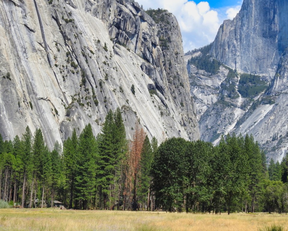 A meadow with fences and buildings, cliffs in the background.