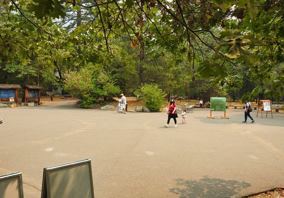 Multiple older cars in a parking lot with trees and cliffs in the background.