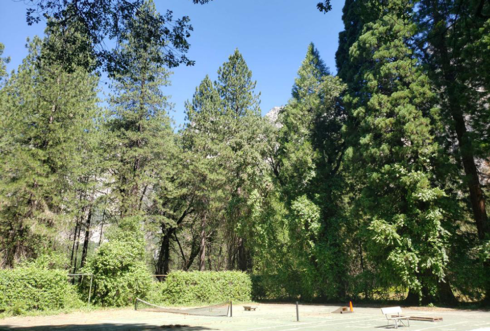 Ahwahnee tennis courts with a few players in 1930, clear view to Yosemite Falls.