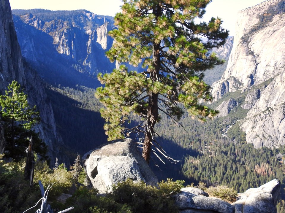 View of cliffs and valley floor