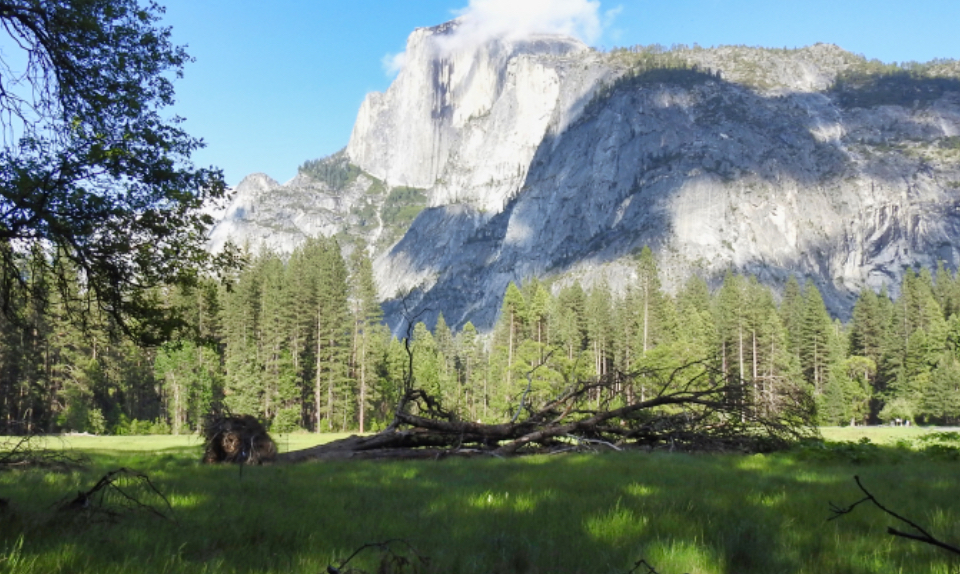 A hotel building with cliff behind.