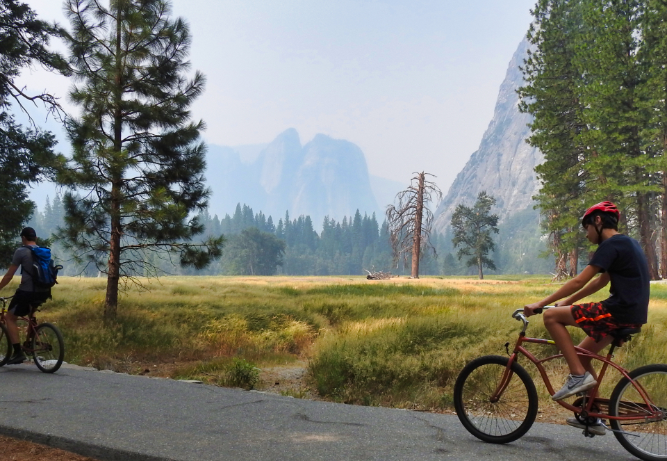 Cattle roam a meadow with cliffs in background.