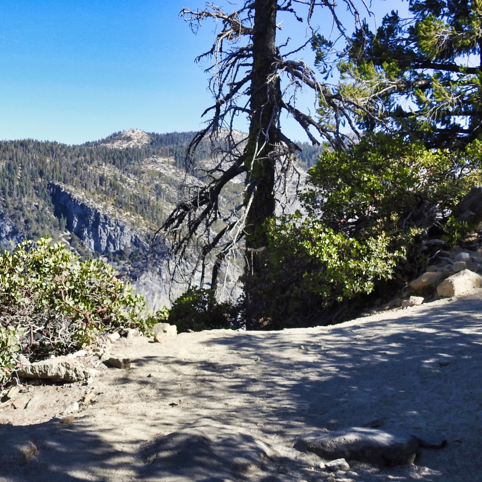 Men sit and eat at a table set up on a trail.