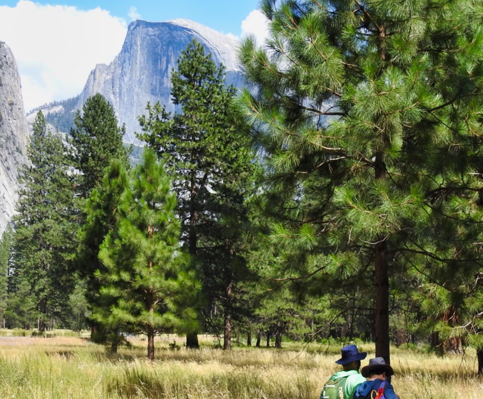 Roosevelt and Muir on horseback with a mountain in the background.