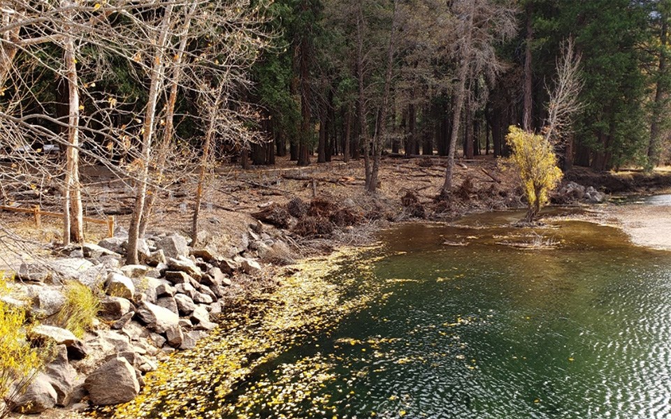 Swinging Bridge area before riprap was removed.