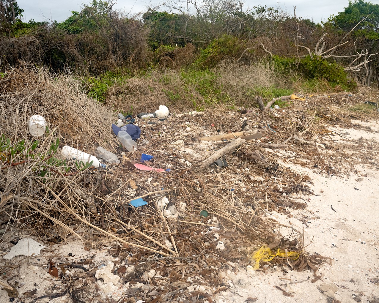 Sandy beach and a messy wrack line is strewn with garbage.