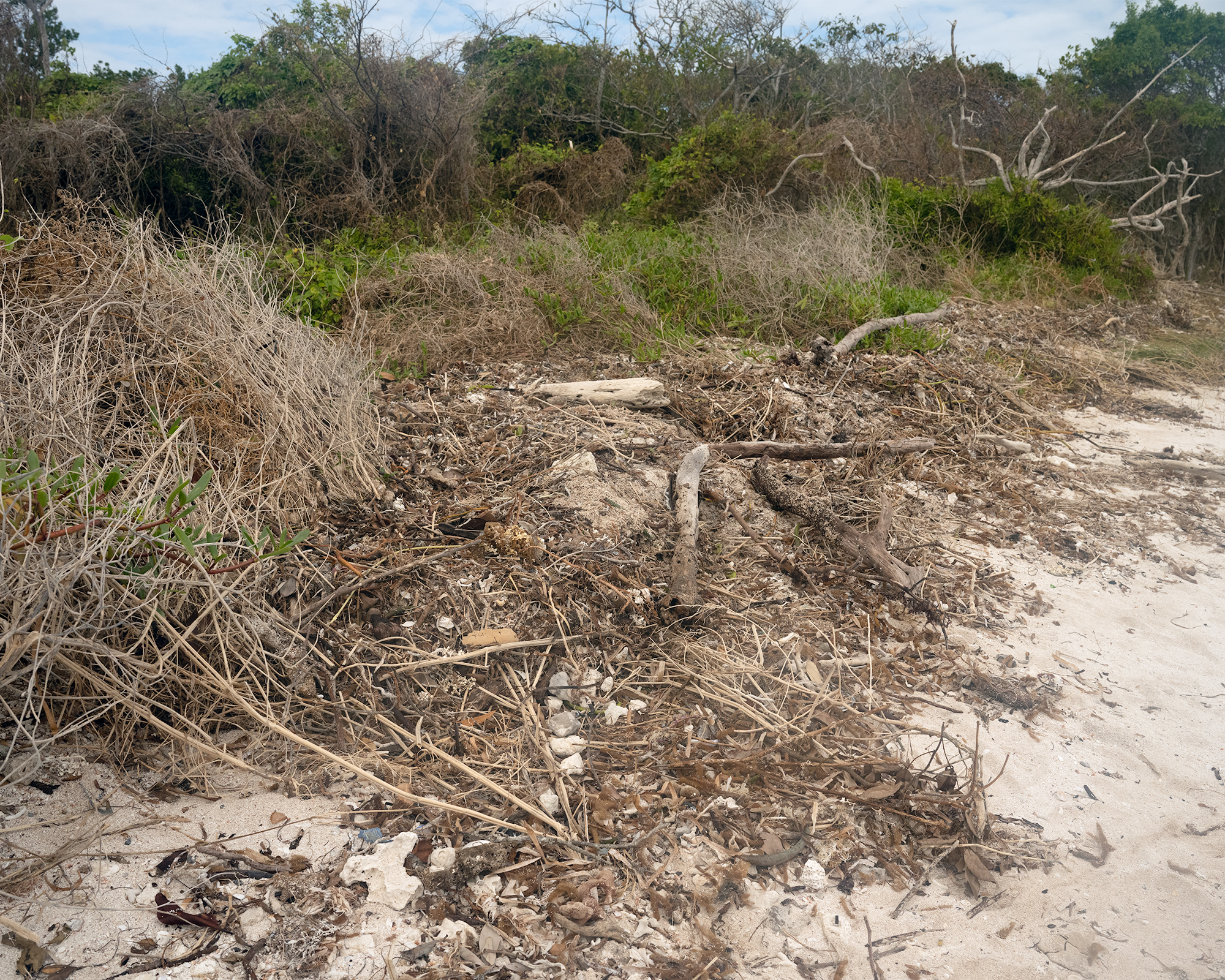 Sandy beach and a messy wrack line is strewn with garbage.