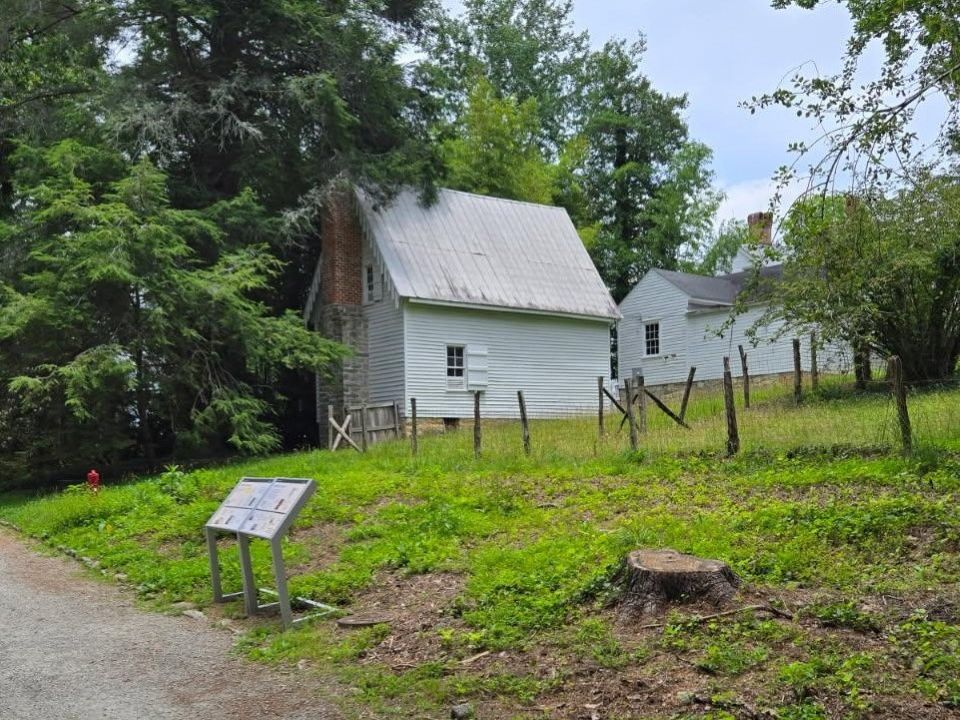 Fallen trees crush interpretive signage