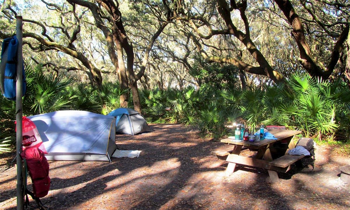 Camping Cumberland Island National Seashore U S National Park Service